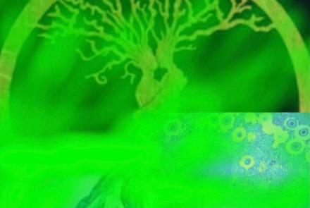 Virus, Microbiota, Epidemie.